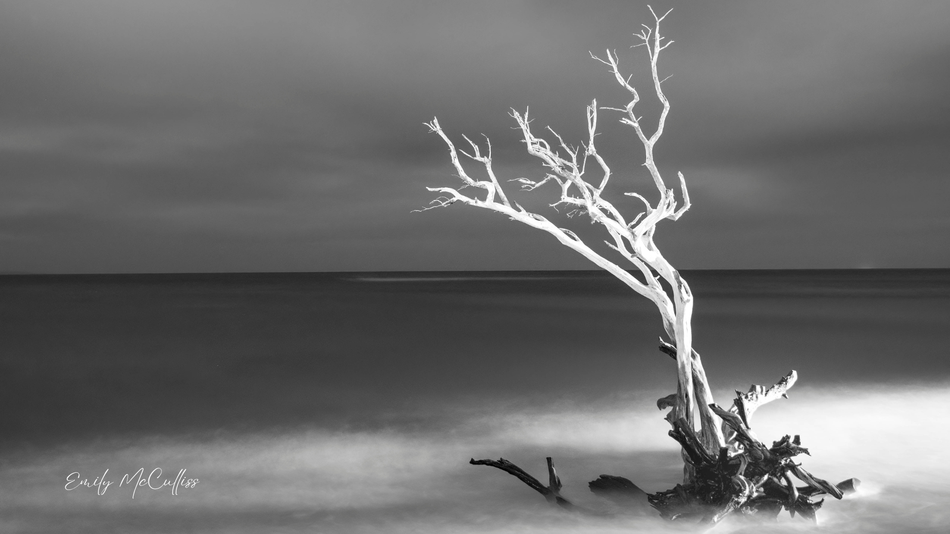 Quietude