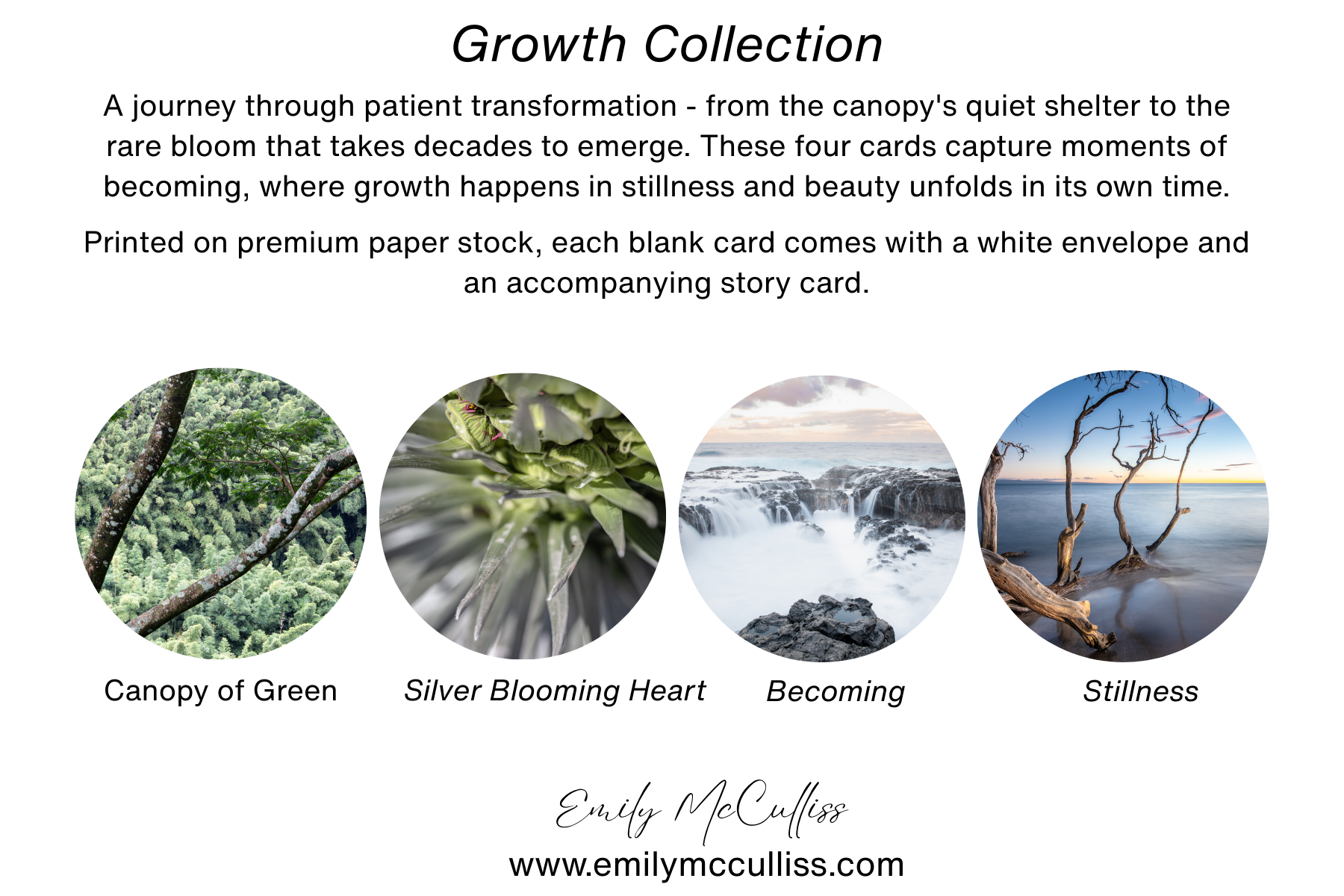 Growth Collection Greeting Card Card Kit