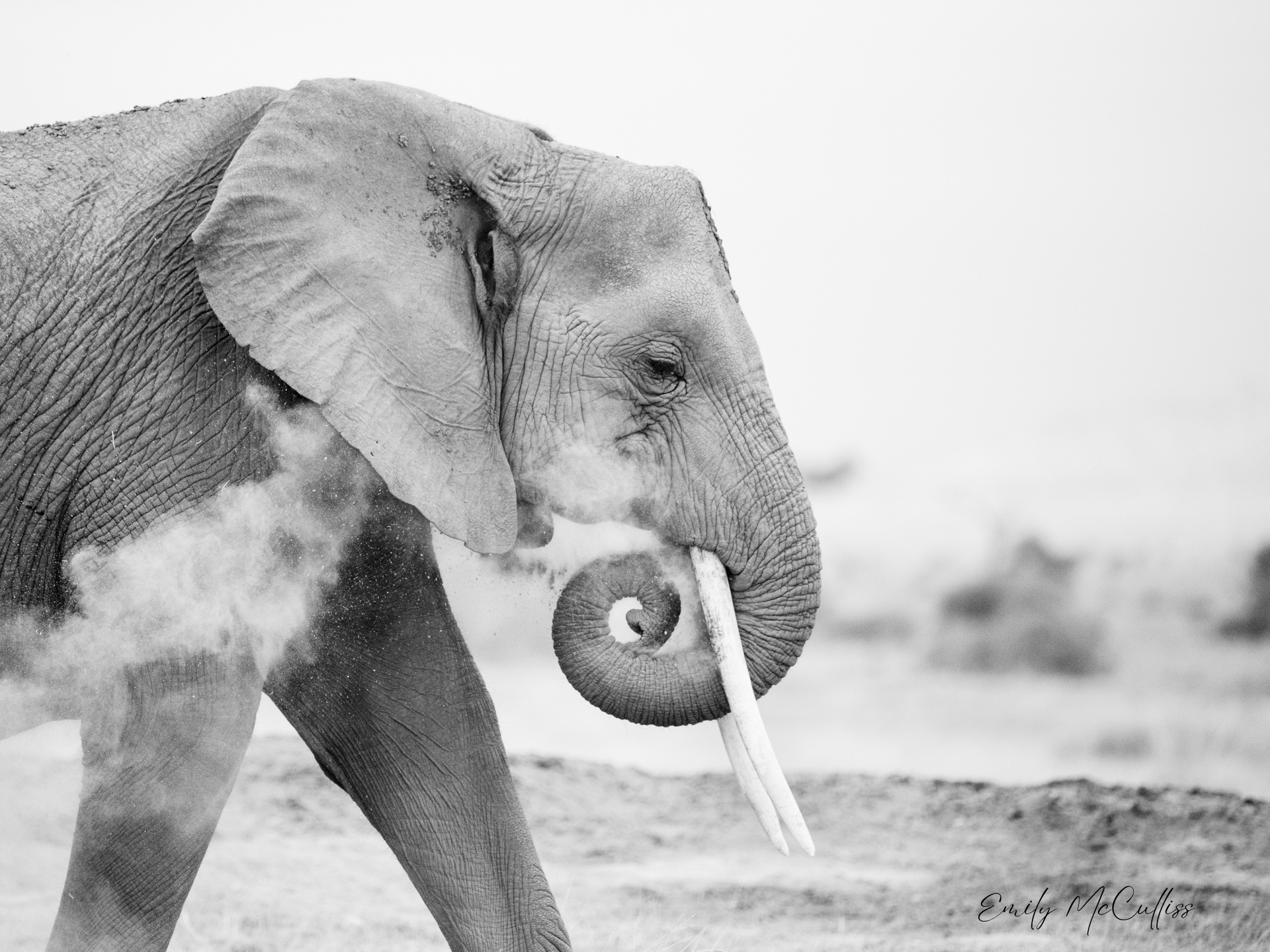 Tembo's Earth Song