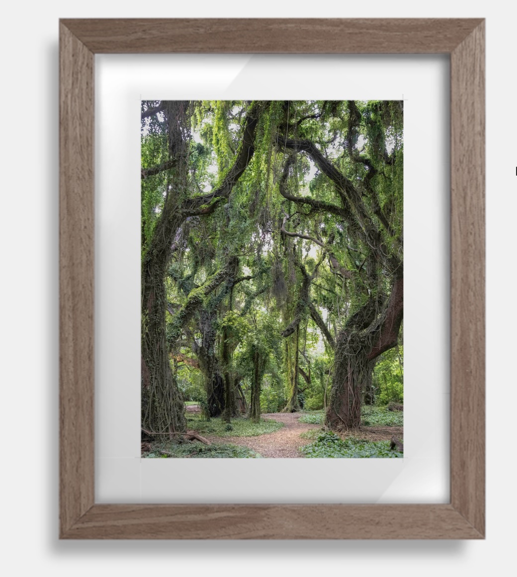 The Forest - Ritz Double Acrylic