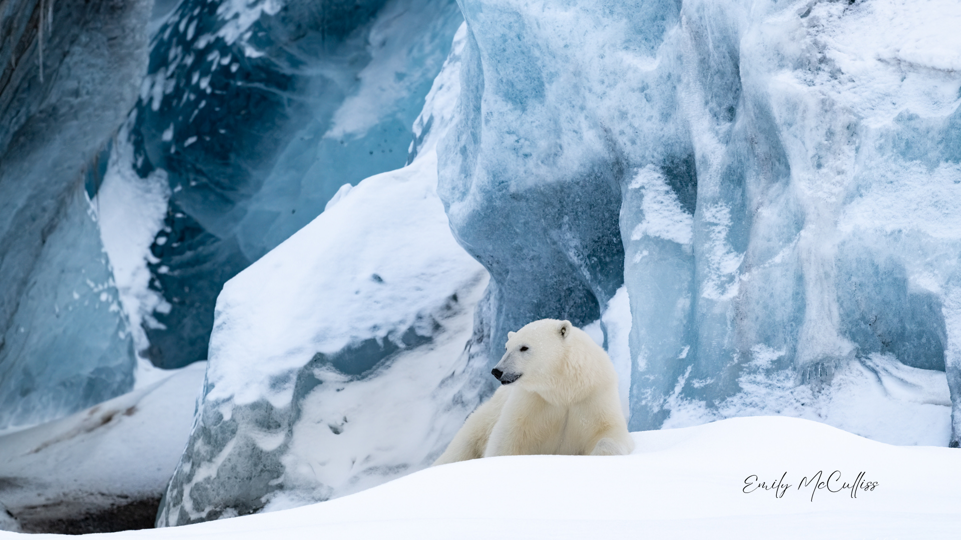 Arctic Kingdom